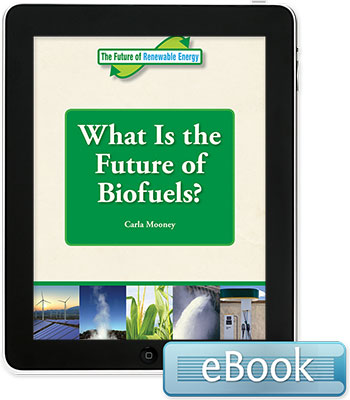 The Future of Renewable Energy: The Future of Renewable Energy: What is the Future of Biofuels?