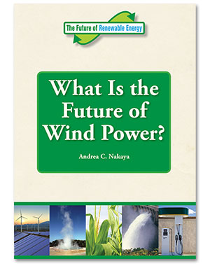 The Future of Renewable Energy: What is the Future of Wind Power?