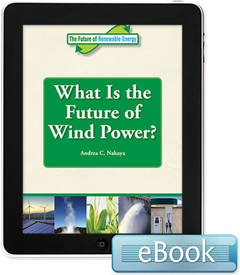 The Future of Renewable Energy: What is the Future of Wind Power?