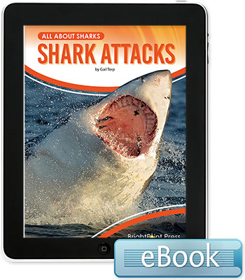 Shark Attacks - eBook