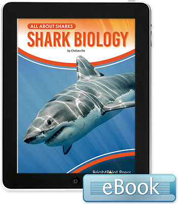 Shark Biology - eBook