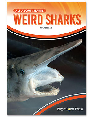 Weird Sharks