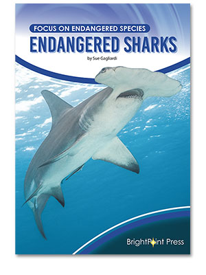 Endangered Sharks