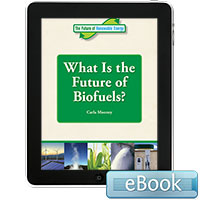 The Future of Renewable Energy: The Future of Renewable Energy: What is the Future of Biofuels?