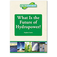 The Future of Renewable Energy: What is the Future of Hydropower?