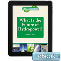 The Future of Renewable Energy: What is the Future of Hydropower?
