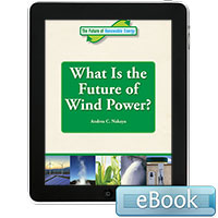 The Future of Renewable Energy: What is the Future of Wind Power?