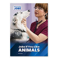 Jobs If You Like Animals