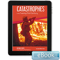 Catastrophes in the Twenty-First Century - eBook