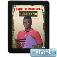 Online Shaming and Bullying - eBook
