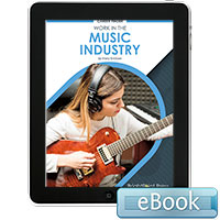 Work in the Music Industry - eBook